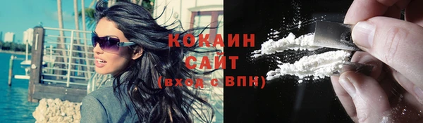крисы Ростов