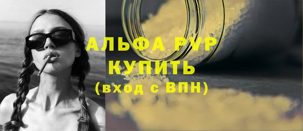 крисы Ростов